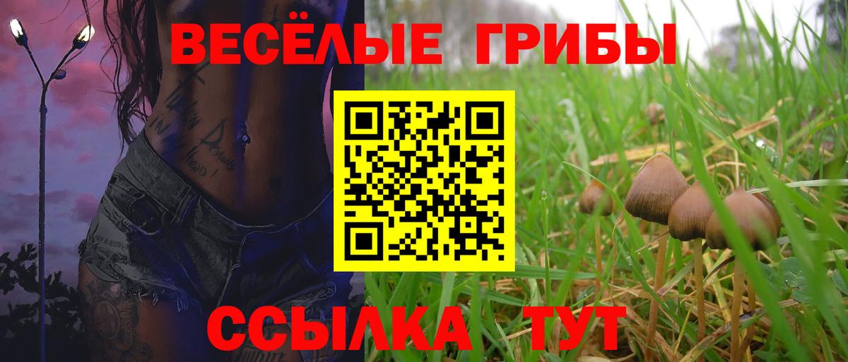 Галлюциногенные грибы Cubensis  Вход с VPN  Серпухов 
