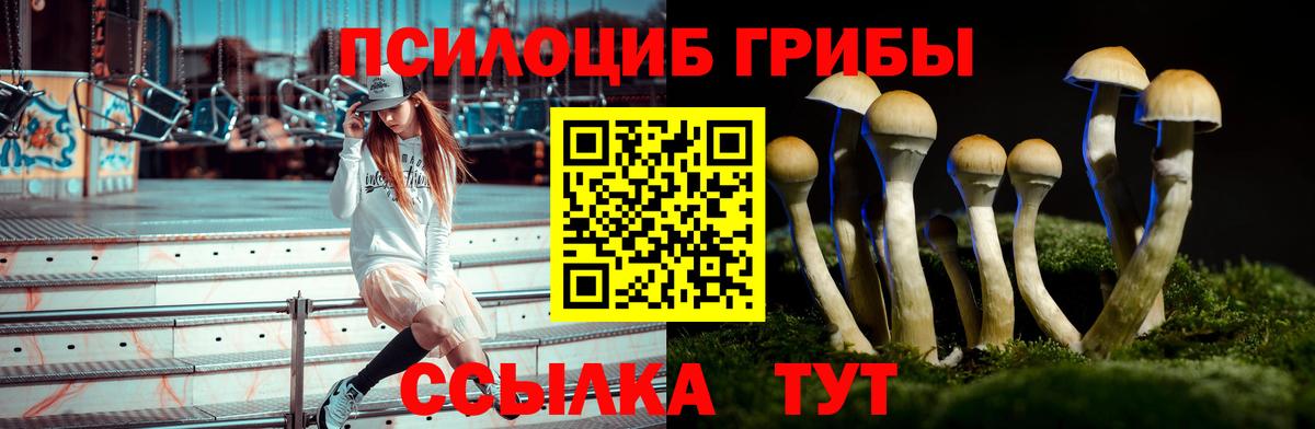 Псилоцибиновые грибы ЛСД Серпухов